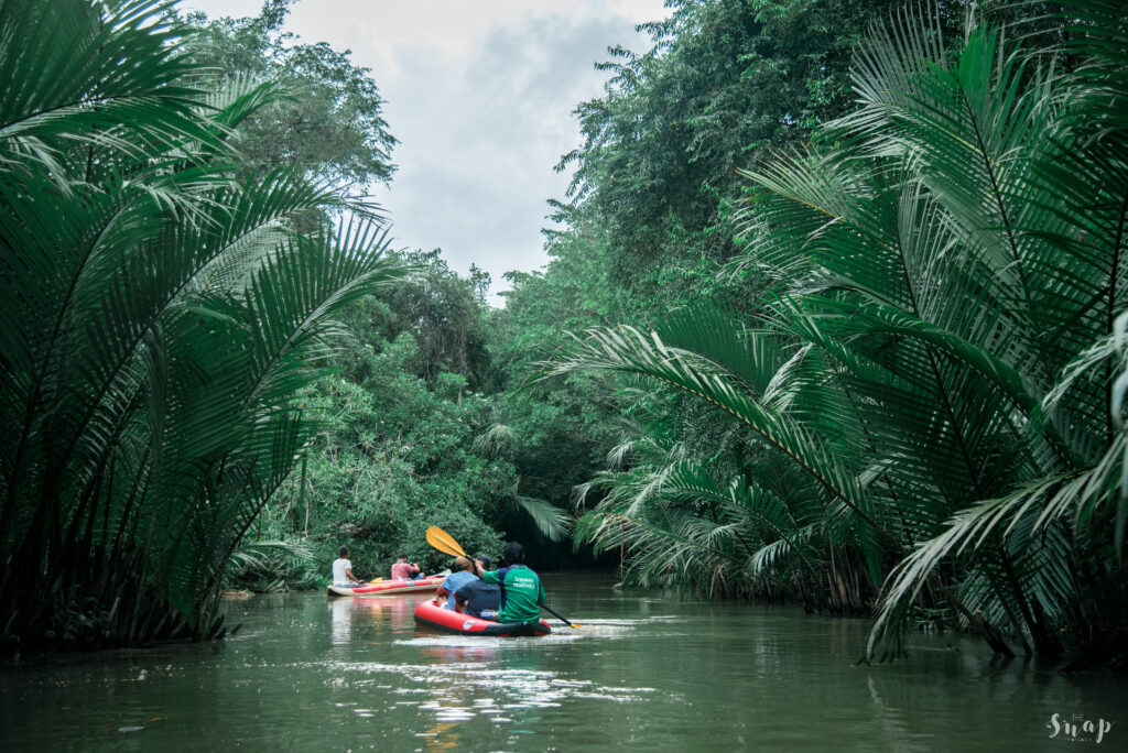 คลองสังเน่ห์ อ.ตะกั่วป่า จ.พังงา ประเทศไทย
The Little Amazon ,Takuapa ,Phang nga ,Thailand
พายเรือแคนูคลองสังเ่ห์
Khaolak Wonderland Tours